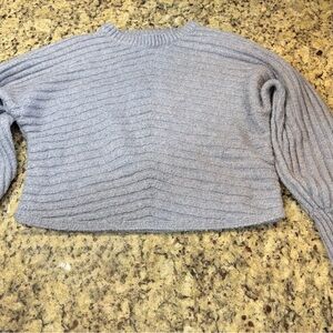 Hippie Rose Light Blue Ribbed Cropped Sweater